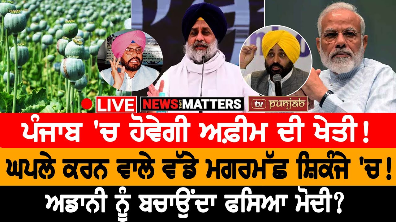 Adani ਨੂੰ ਬਚਾਉਂਦਾ ਫਸਿਆ Modi? | Punjab 'ਚ ਹੋਵੇਗੀ ਅਫ਼ੀਮ ਦੀ ਖੇਤੀ! | NEWS THAT MATTERS | TV PUNJAB