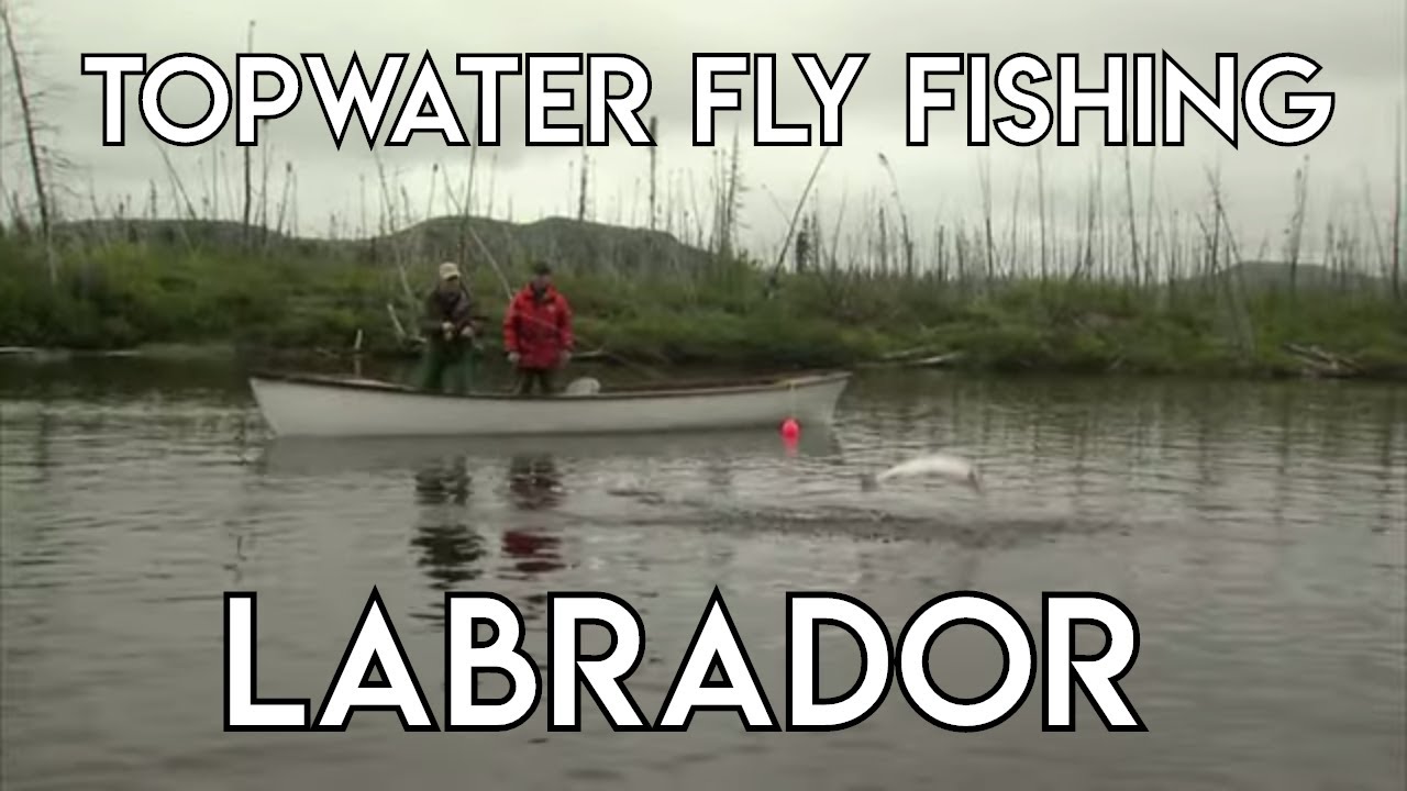 Topwater Fly Fishing in Labrador | Hunt River