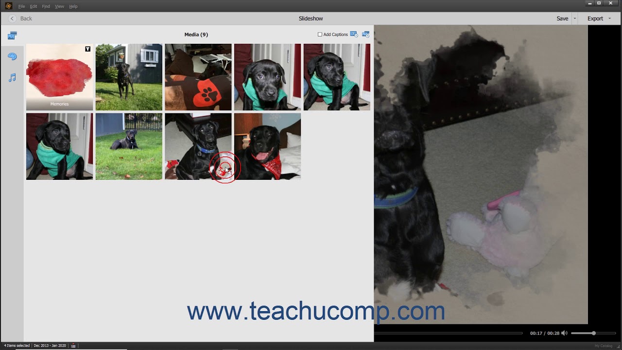 Photoshop Elements 2021 Tutorial Editing a Slide Show Adobe Training