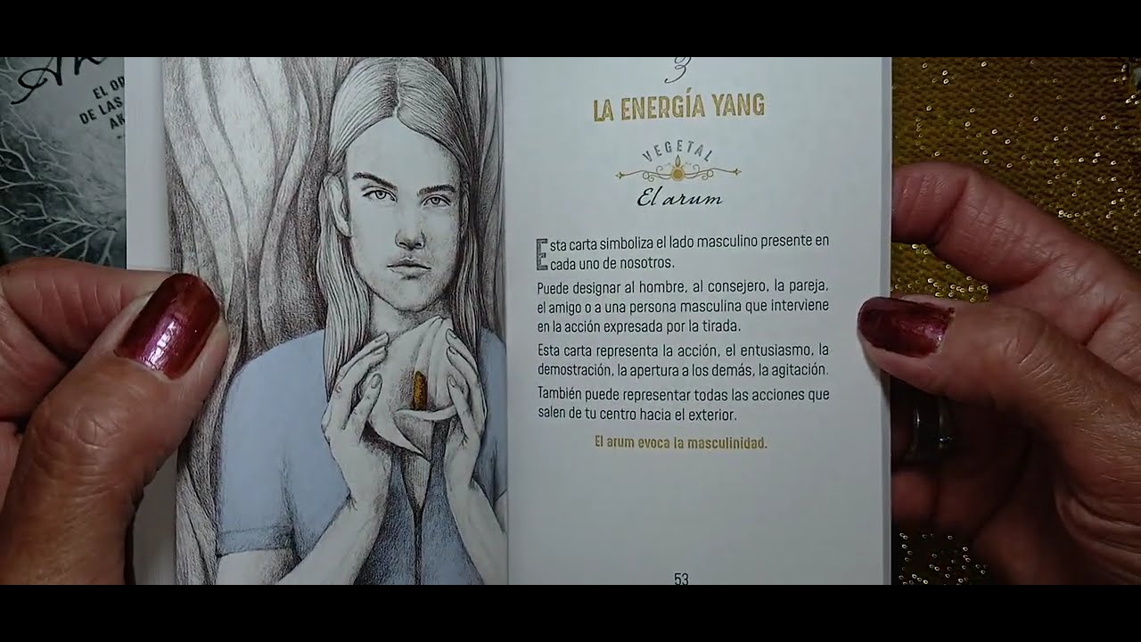 205-(26)RESEÑA DEL LIBRO,EL ORACULO DE LAS MEMORIAS AKÁSHICAS.