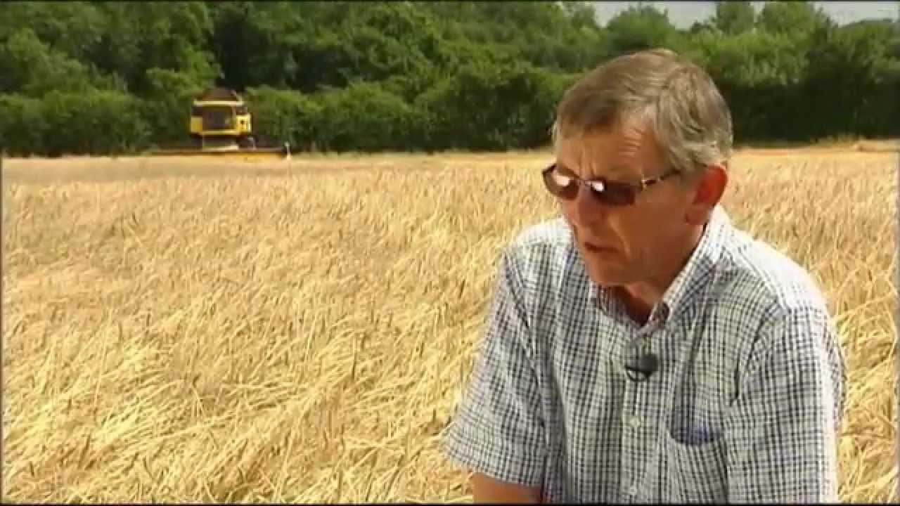 Wells & Young's Brewery Tour Video (2008)