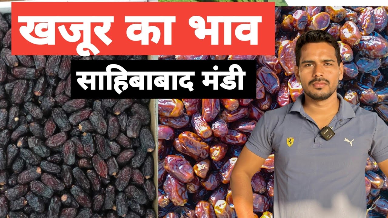 खजूर का भाव साहिबाबाद मंडी || Today Dates Rate in Sahibabad Mandi || Bharat ke Bazar