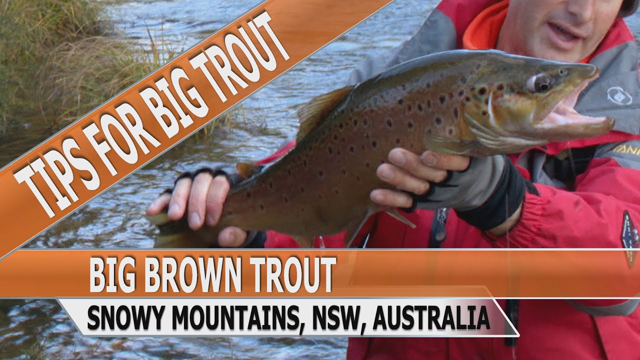 Fishing Edge episode - Big Brown Trout Snowy Mountains
