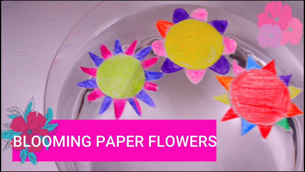 ABSORBANCY EXPERIMENT- blooming paper flowers