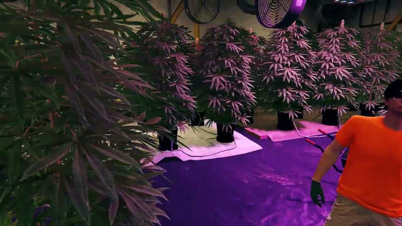 Weed Processing