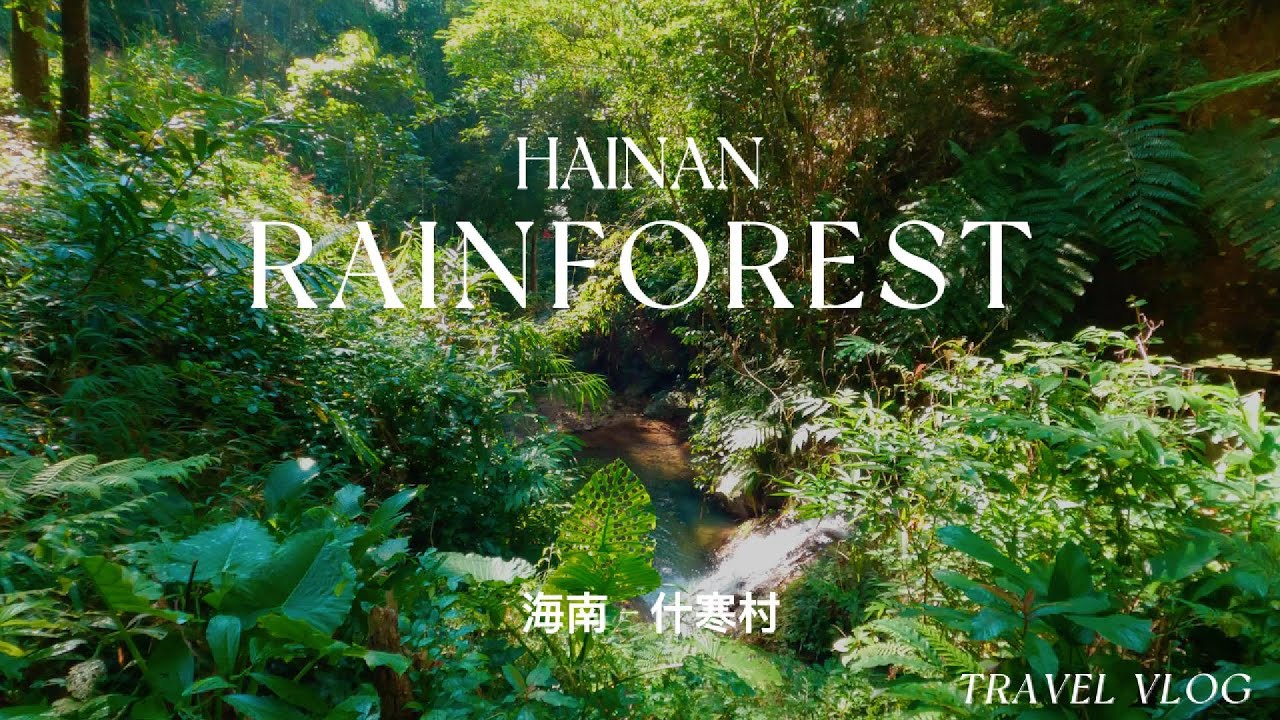 All'interno di un remoto villaggio nella foresta pluviale in Cina 🇨🇳  - L'isola di Hainan