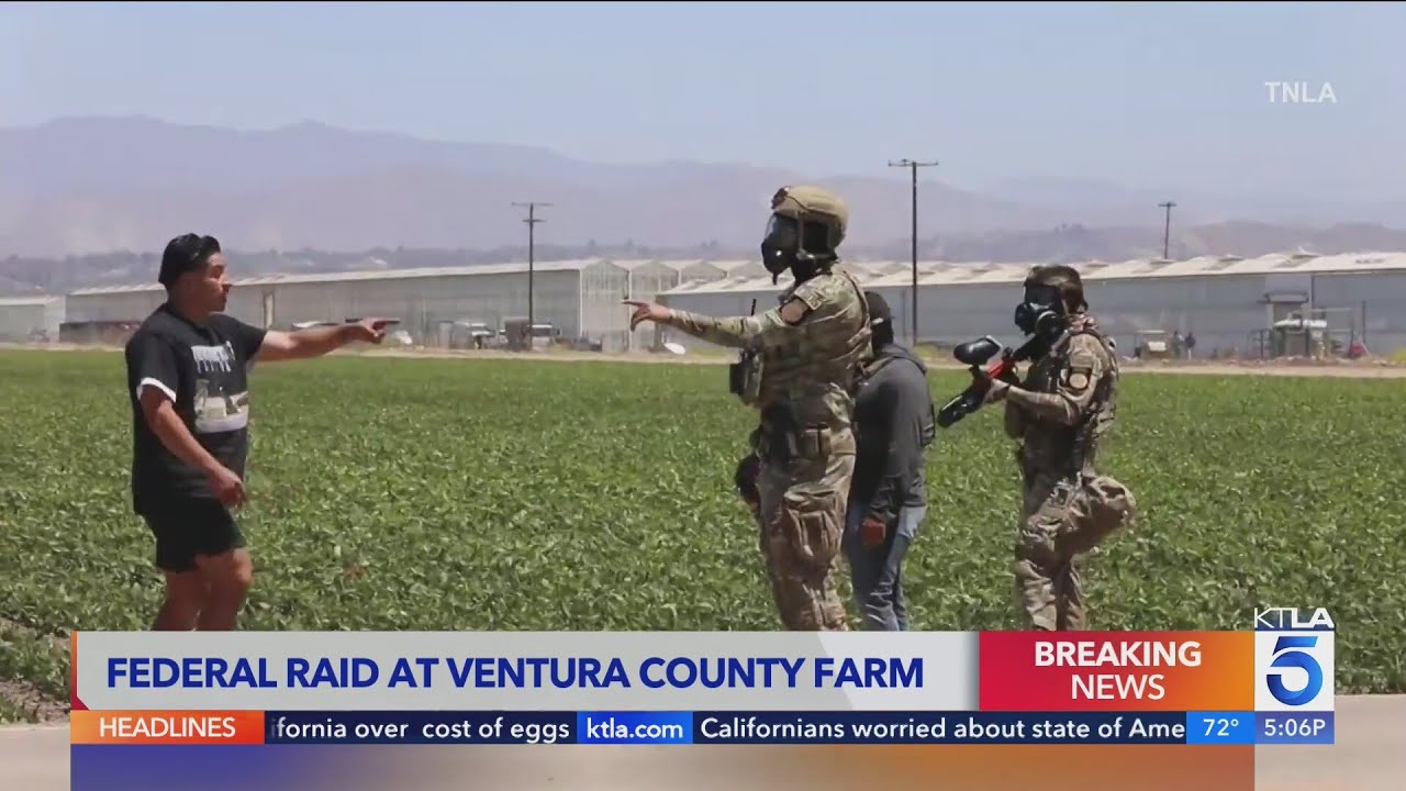 Farmworkers detained, tear gas deployed in Ventura County immigration raid