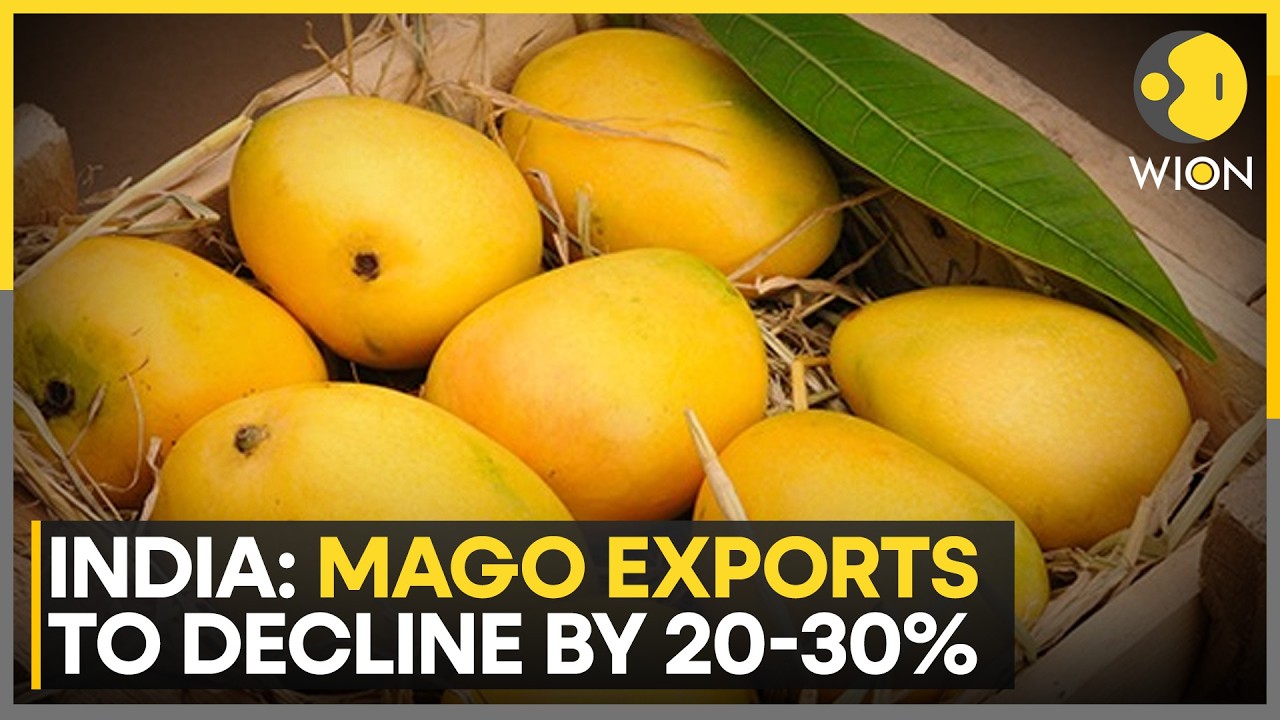 Iran War Halts Mango Exports To West Asia | WION