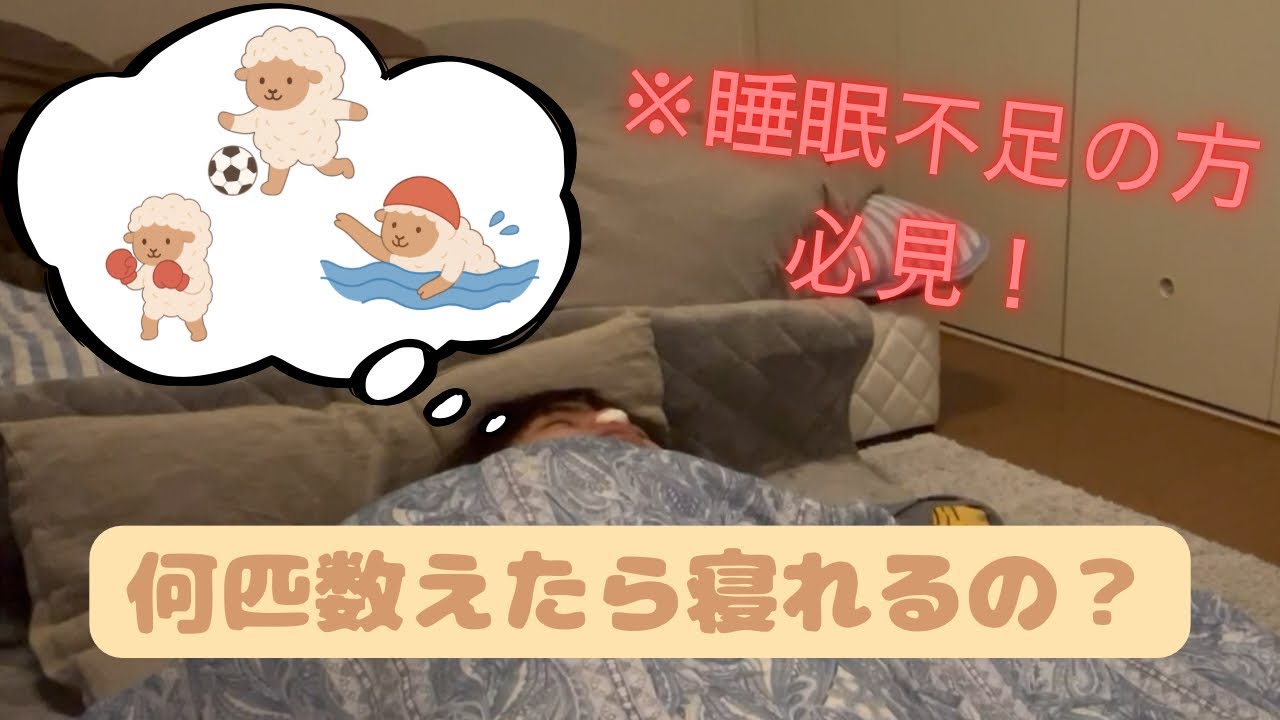 【羊】🐏何匹数えたら寝れるのか？