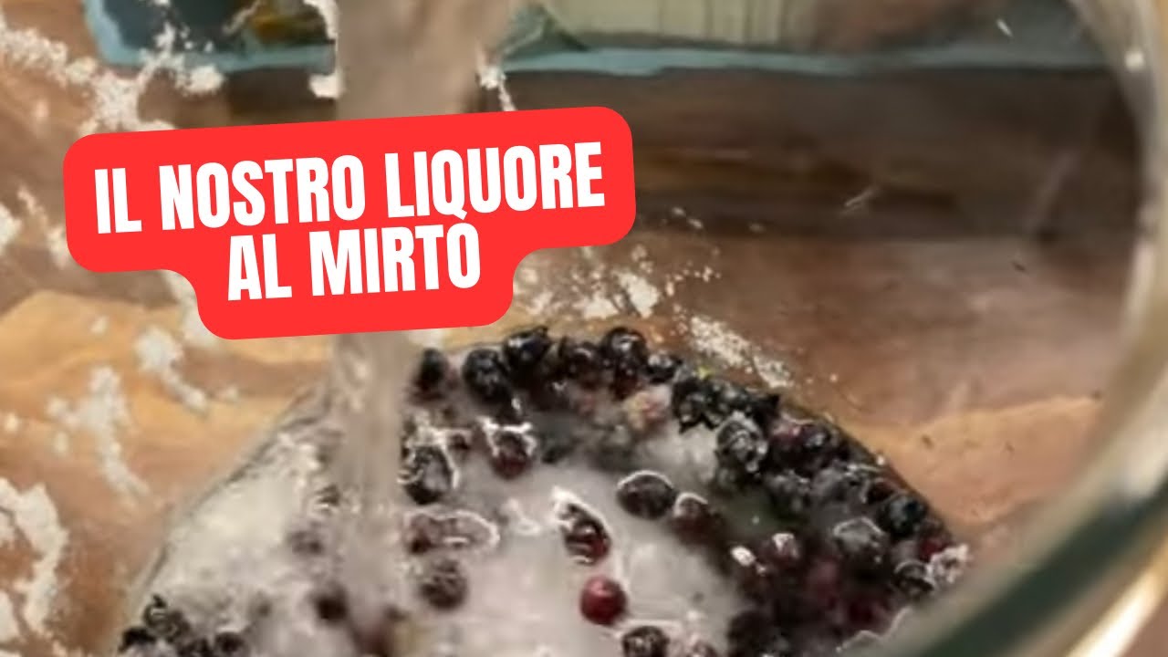 Come fare il LIQUORE 🥃 al MIRTO (fatto in casa)