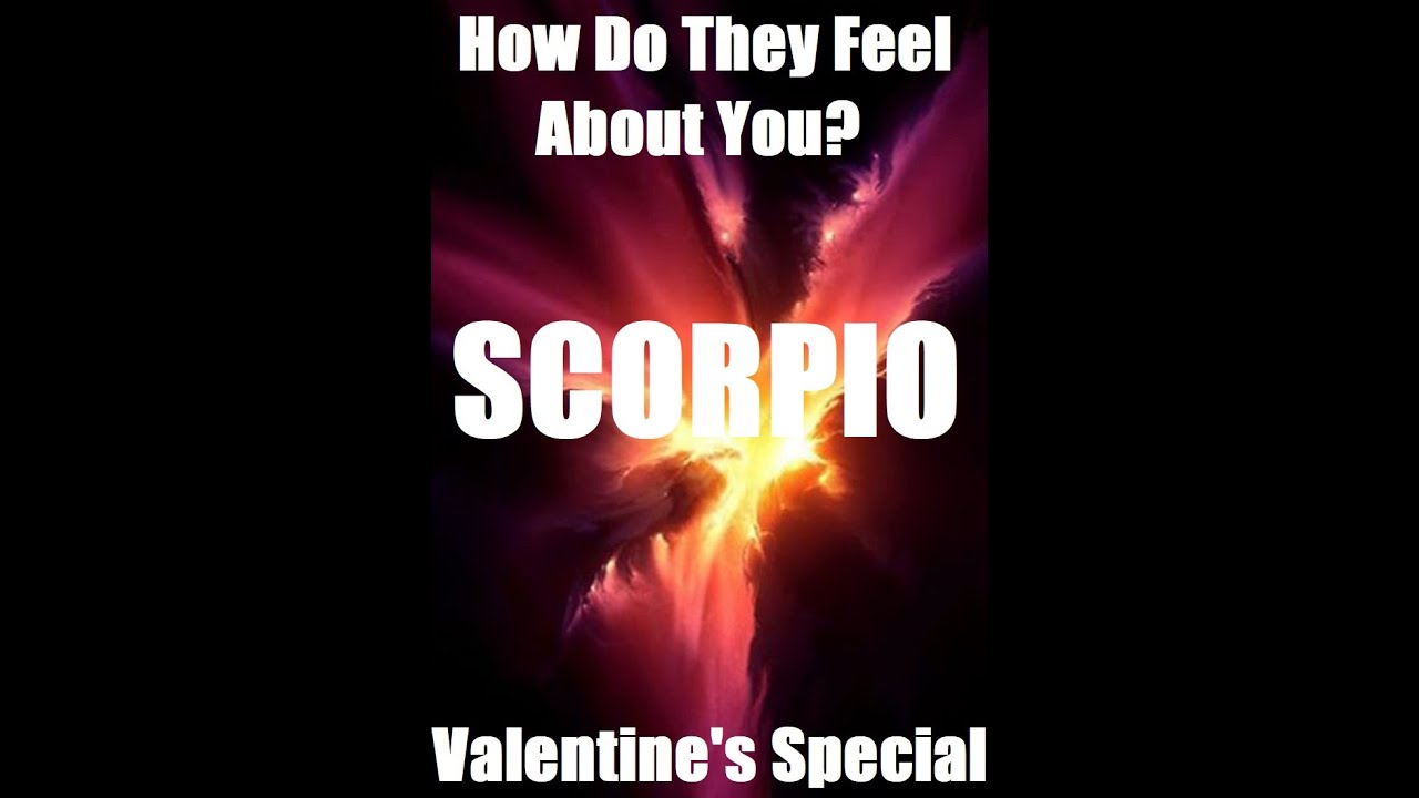 Scorpio - How Do They Feel About You? - Scorpio Valentine's Special Feb 2020