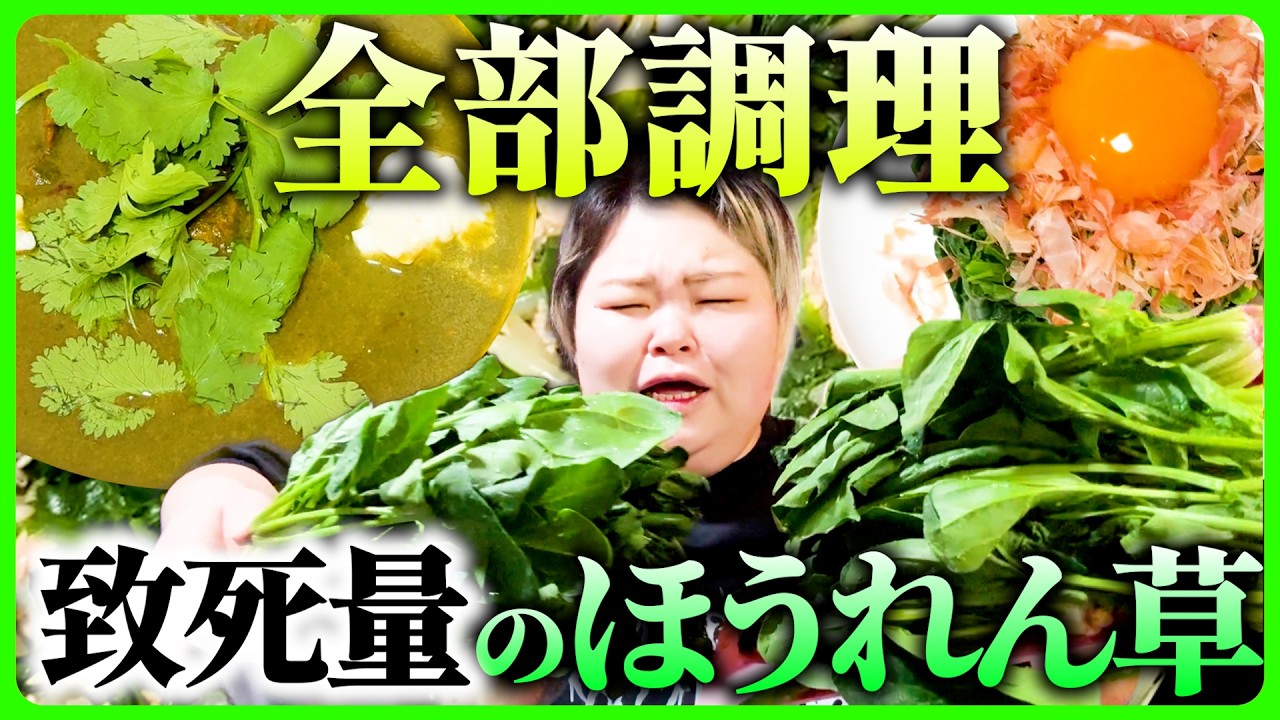 【困った】実家の農園から送られてきた凄まじい量のほうれん草を全部使い料理作って食う農家の娘🥬🥬🥬【大量消費メニュー】