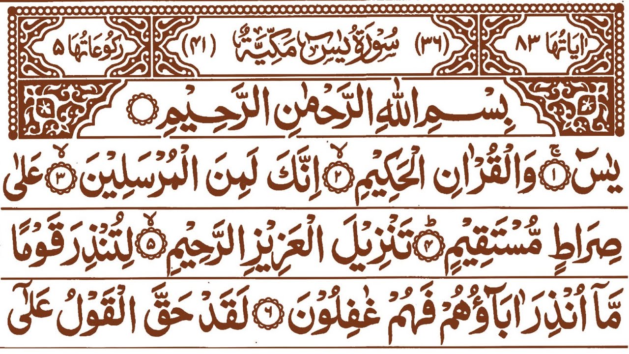 Surah Yaseen 3 Times Recitation | Episode 142 | Beautiful Quran Tilawat | Heart Touching Voice
