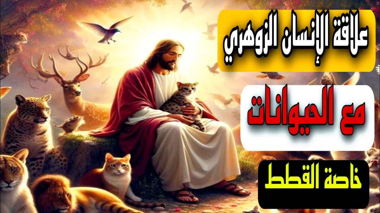 لماذا تنجذب القطط للإنسان الزوهري و تحب الجلوس بقرب منه ؟ ما سر حب الحيوانات العجيب له !!