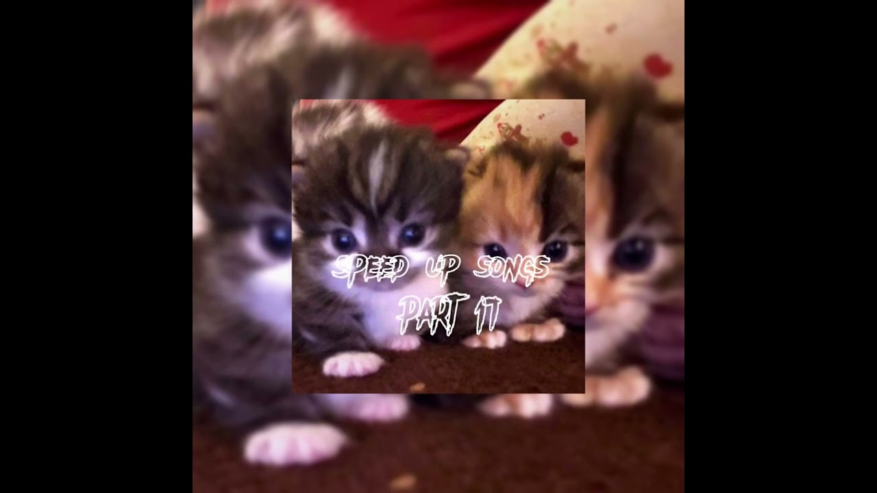 кис-кис – мальчик (спид ап /// speed up)