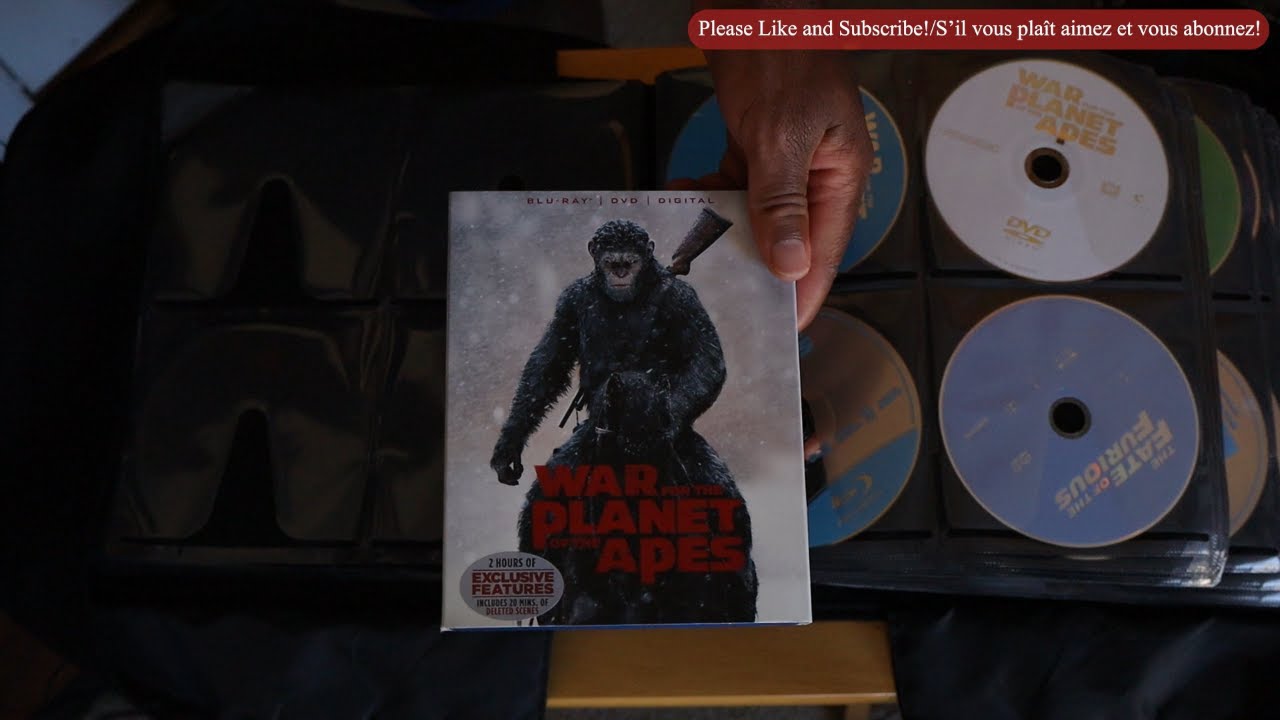 ASMR: Mettre les disques de film dans leurs boîtiers, Partie 7 / Moving Movie Discs to Cases, Pt. 7