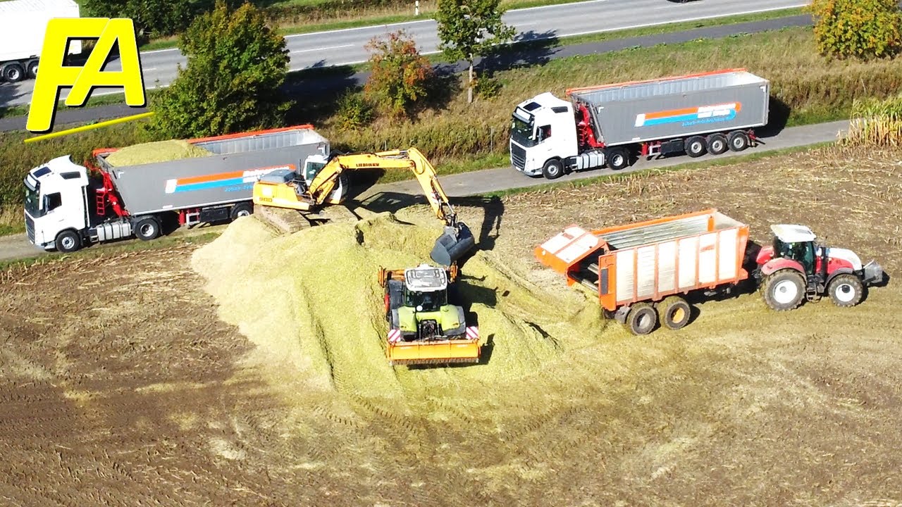 Claas Jaguar 960 am Mais häckseln in Norddeutschland Feld Bagger Verladung auf LKW Abfahrer Flotte
