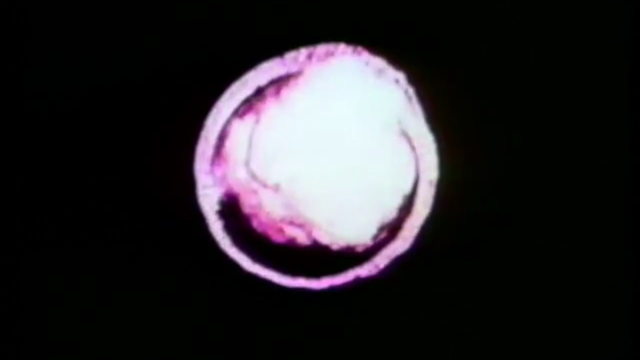 TR/ST - GLORYHOLE (MUSIC VIDEO)