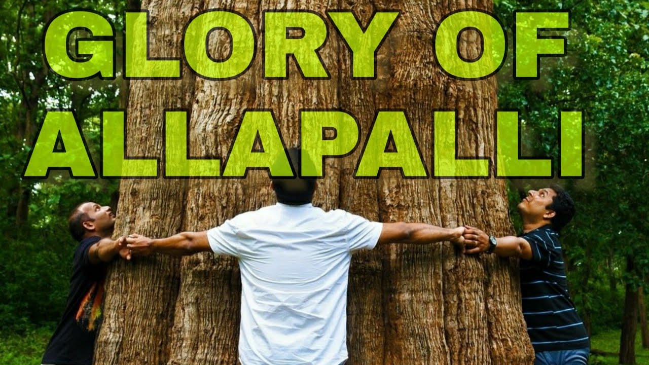 Glory of Allapalli(Gadchiroli। ग्लोरी ऑफ आल्लापल्ली / VLOG