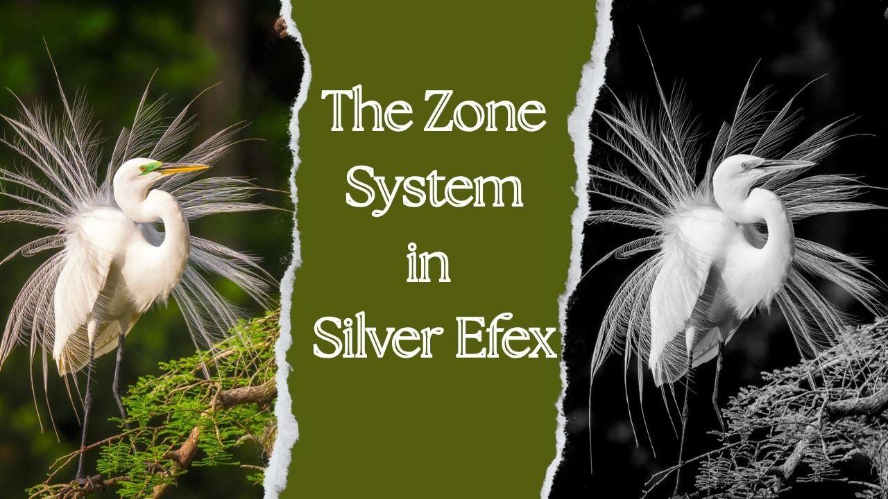 Mastering Tones in Nik Silver Efex with the Zone System