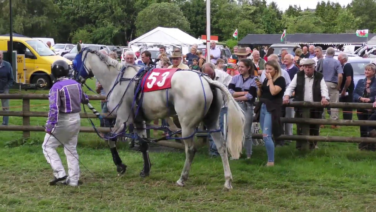 PENYBONT HARNESS RACES 2018 GRADE A FINAL