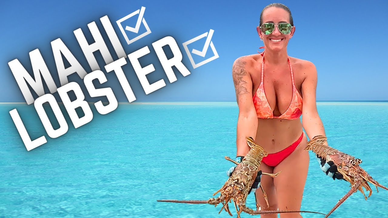 Epic Florida Keys Adventure!  Mahi Fishing & Lobster Limit in Marathon |  Livin Nauti x The Reel 850
