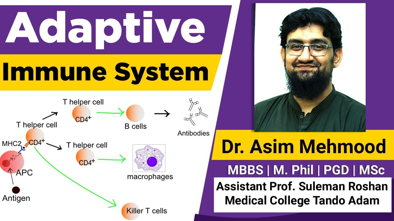 Immunology : Adaptive Immune System Made Easy ( Hindi / Urdu )