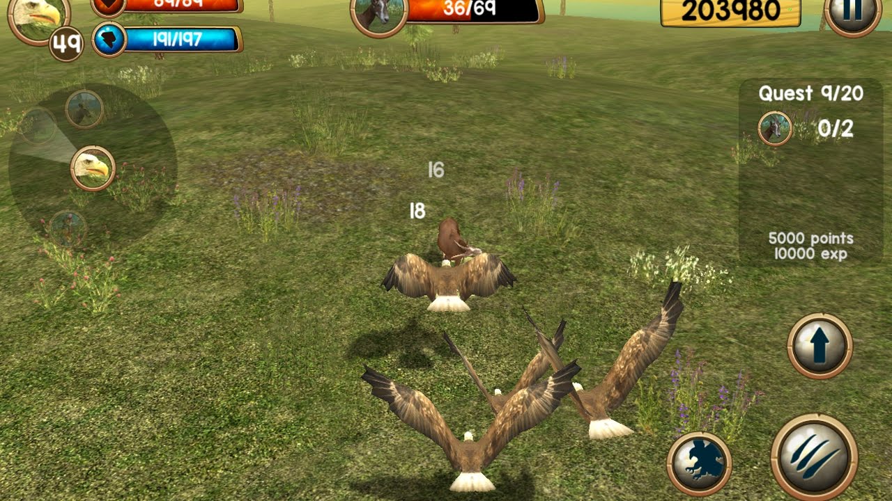 Wild Eagle Sim 3D Android Gameplay