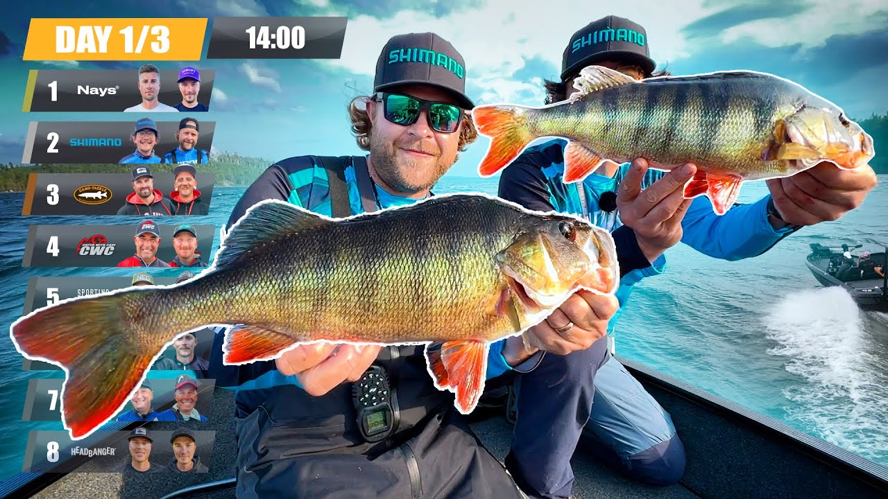PERCH PRO 9 - Эпизод 2 (русские субтитры)