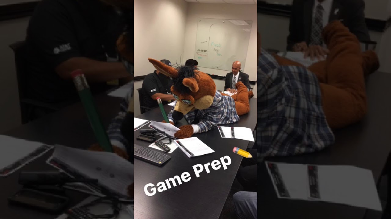 Coyote Instagram Stories: A Game Day for Coyote