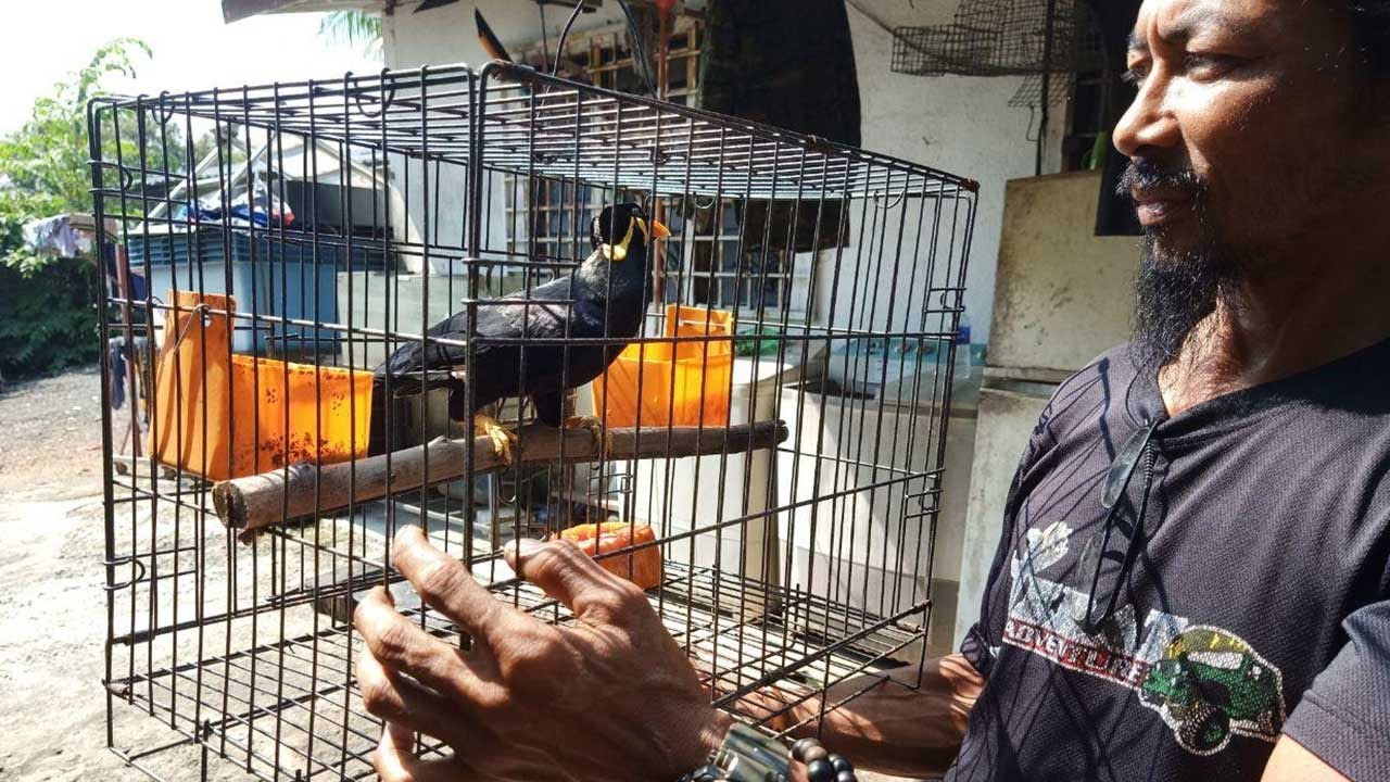 Awang ‘beri salam’, tanya ‘nak ke mana bro’