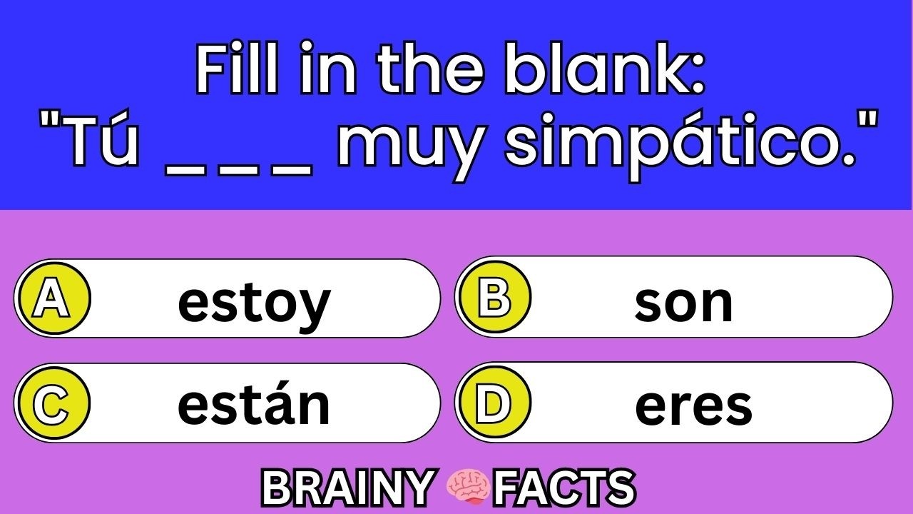 English Grammar Course for Beginners  Conditional