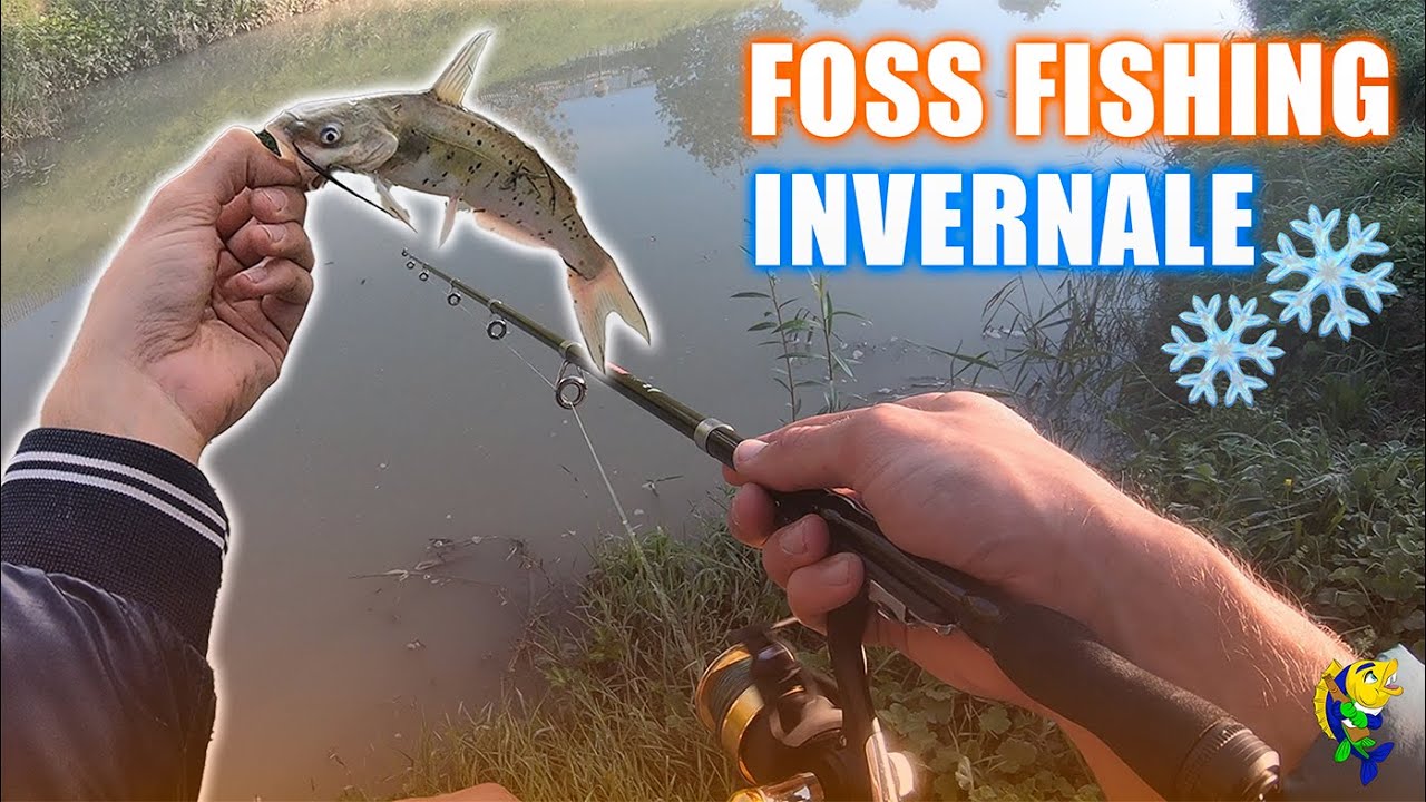 COME PESCARE nei FOSSI? Ve lo spiego IO! PESCA nei FOSSI ROMAGNOLI in INVERNO!