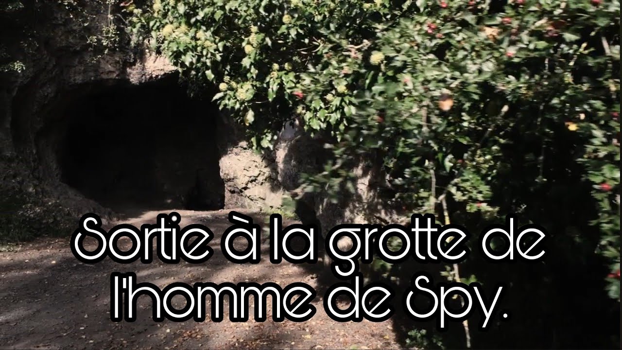 Sortie dans le bois de Spy