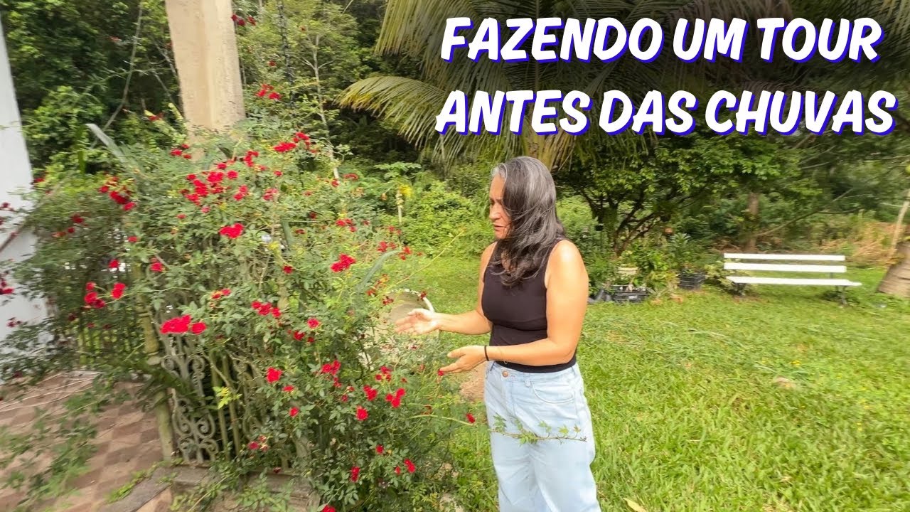OLHANDO TODO SÍTIO PRA ESPERAR AS CHUVAS🙏🏻🙏🏻🙏🏻🙏🏻/Bora pra Roça?