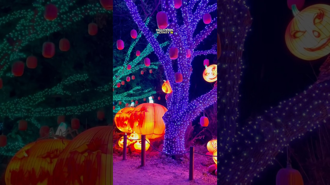 Houston Zoo Boo After Hours 🎃 #atrakcjehouston #zoo #halloween