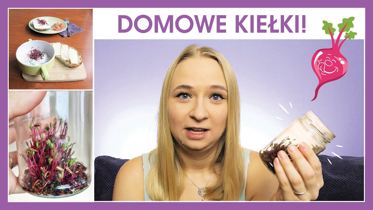 Jak uprawiać warzywa na kiełki w domu? | Hodowla kiełków DIY | Balkonowy Ogródek