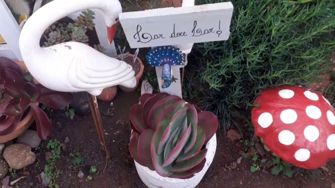DIFERENÇAS DAS KALANCHOES TYRSIFLORA, LUCIAE E VIVIEN