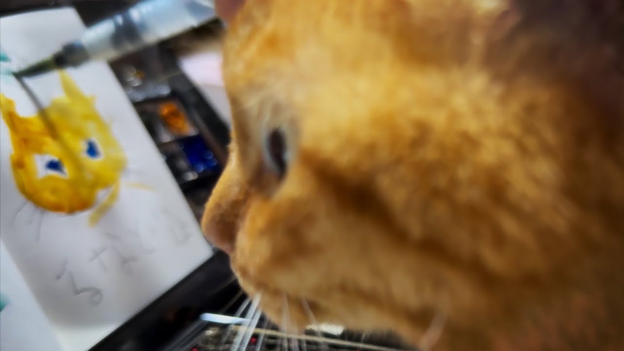 パパに靴フェチがバレた猫と文具女子猫Stationery Time with Cats