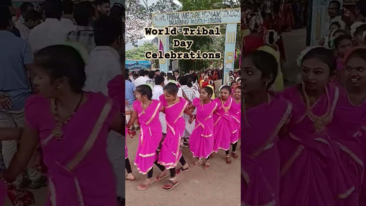 Tribal Day Celebrations Paderu #short #andhraootynews #paderu