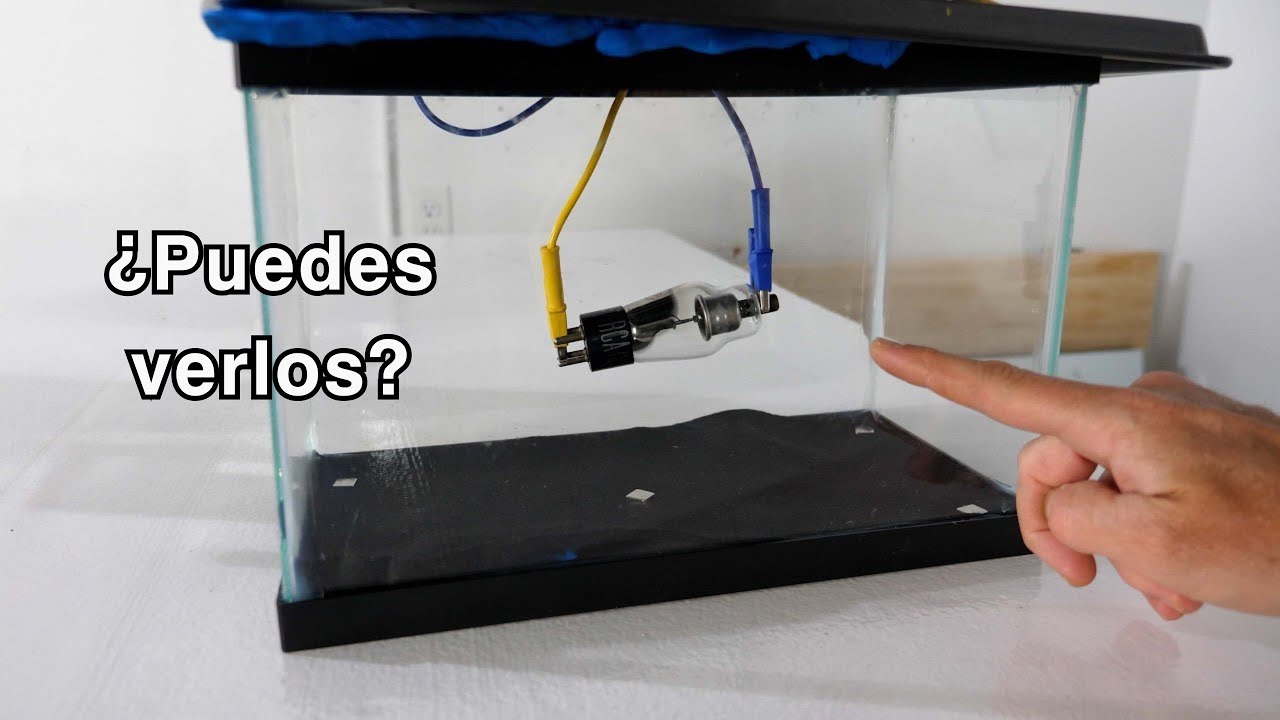 ¿Qué pasa si intentas ver Rayos X con este experimento?