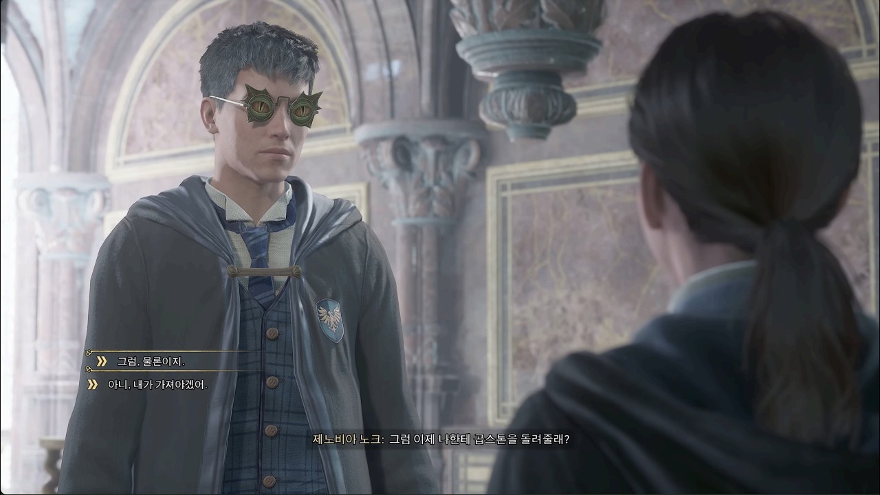 친구들 괴롭히지 마라 - Hogwarts Legacy 4K [8]