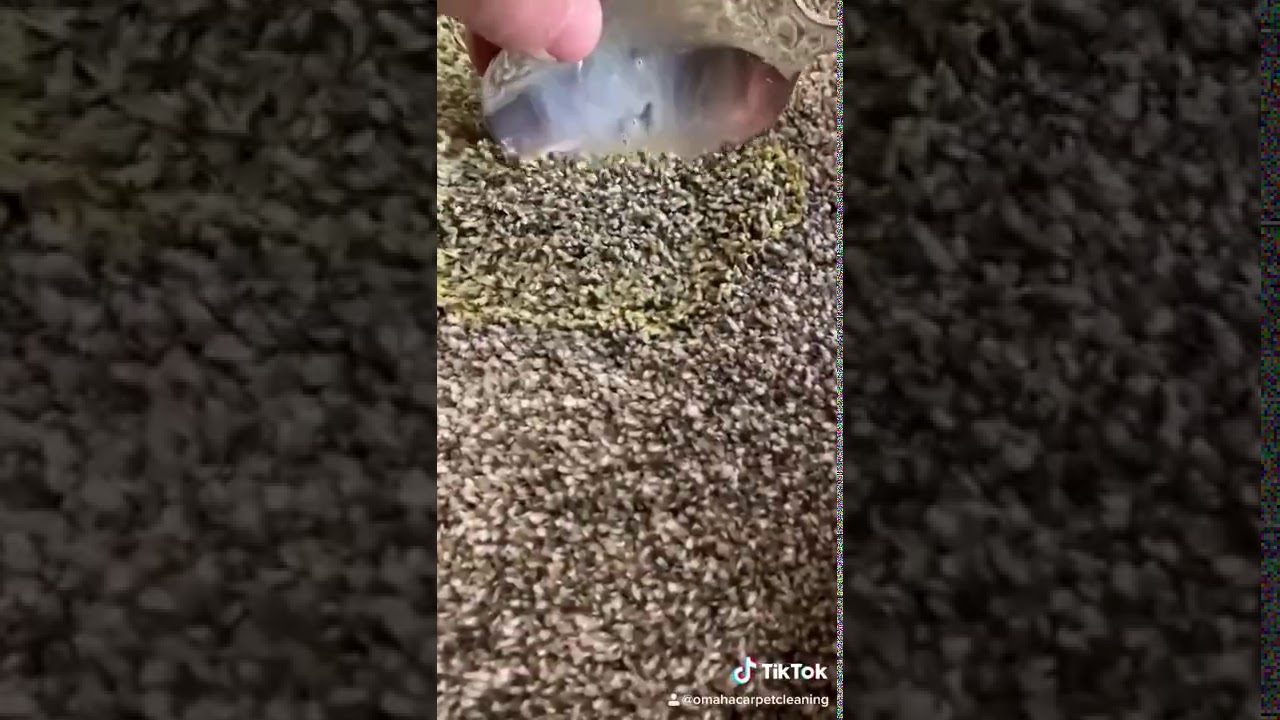 How To Remove Slime From Your Carpet