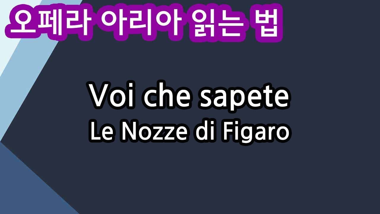 Voi che sapete 모차르트 오페라 Le Nozze di Figaro 발음 읽는 법