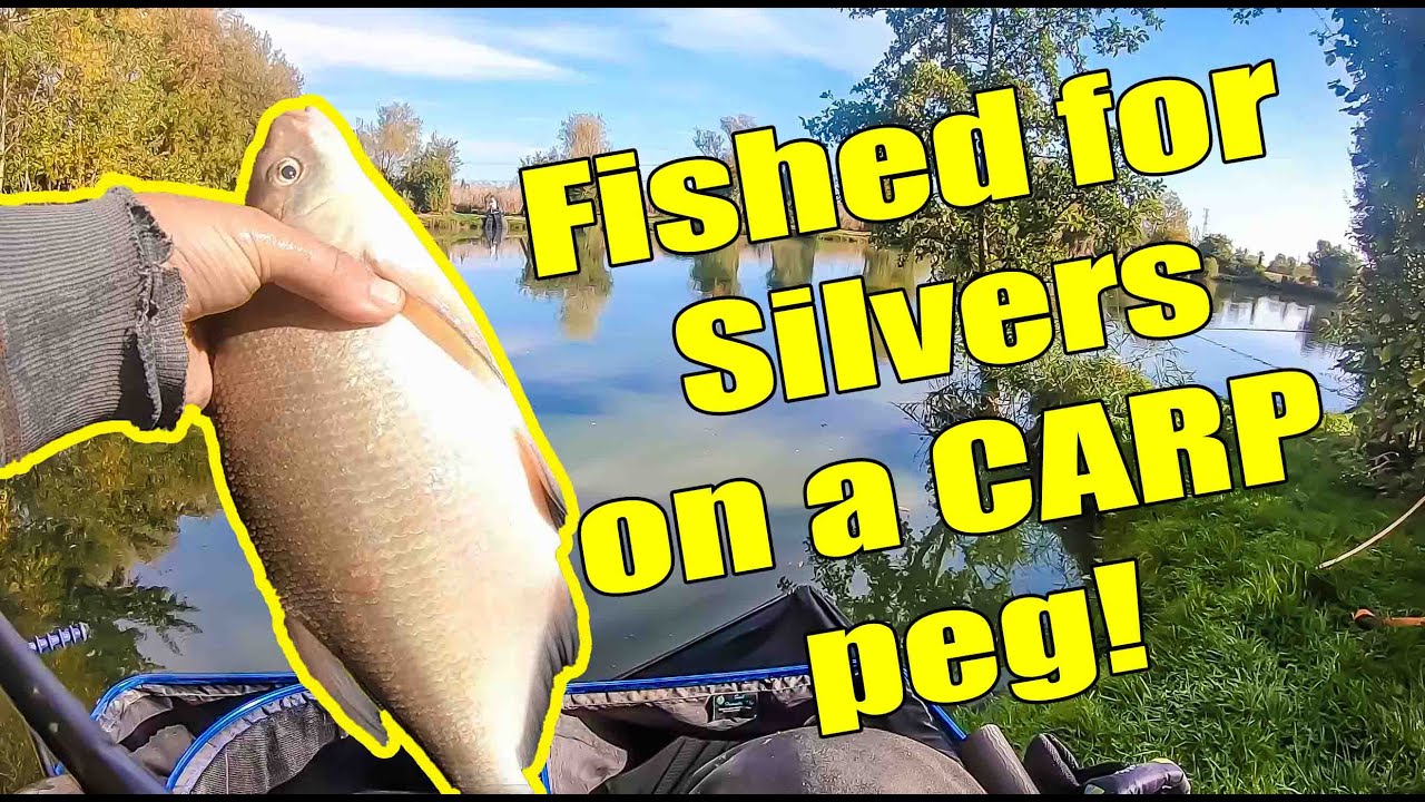 LIVE MATCH FISHING 2022 // Trinity Waters // Feeder fishing // Pole fishing