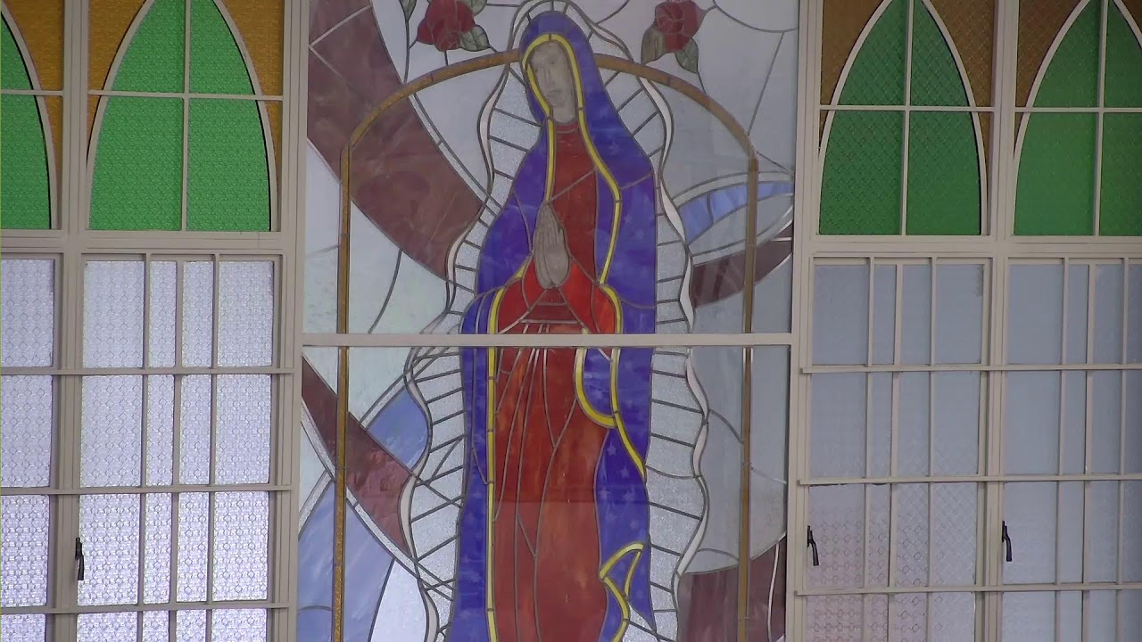 Holy Mass | Saturday 14th February 2026 | Ordinary Time Yr A