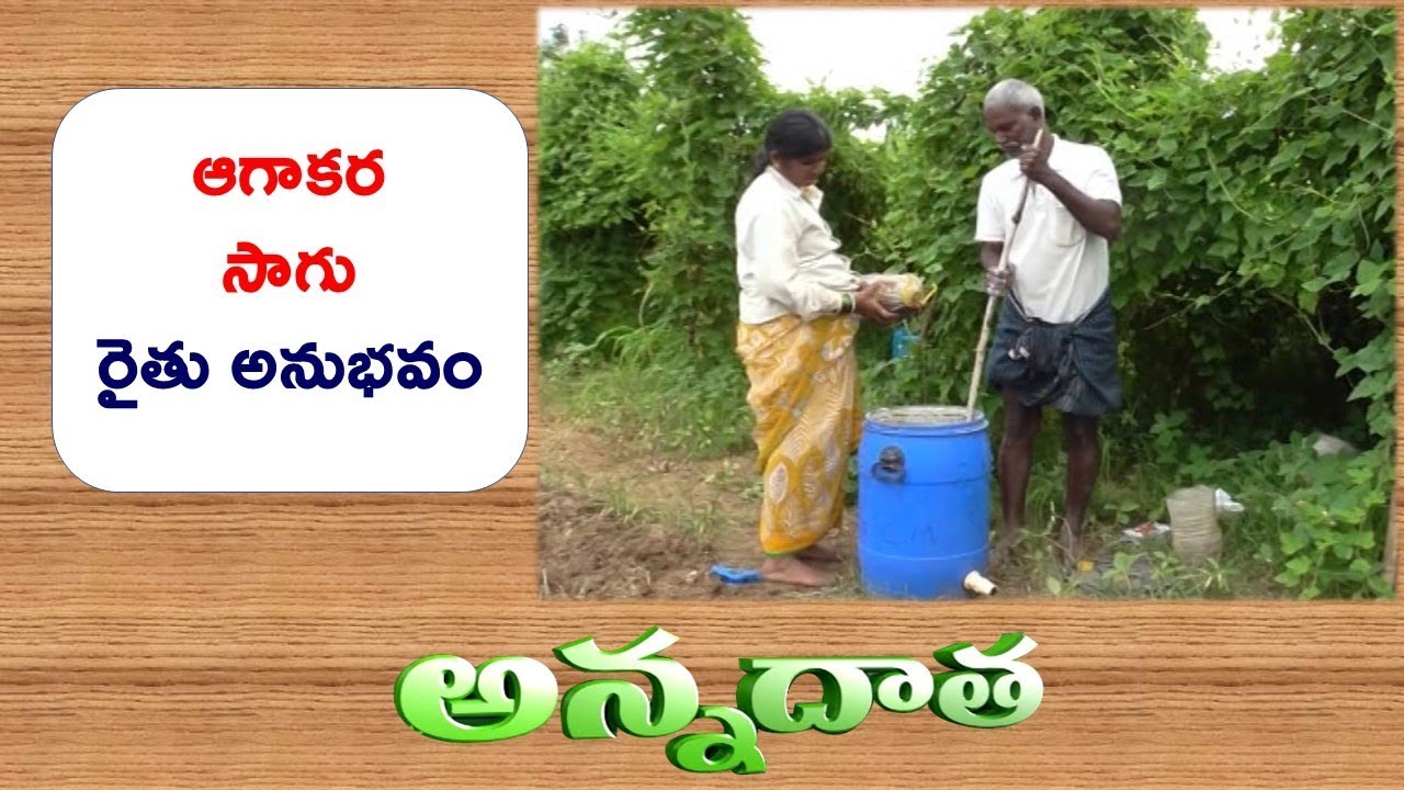 Good Returns from Aagakara Spine Gourd | by Warangal Farmer || ETV Annadata