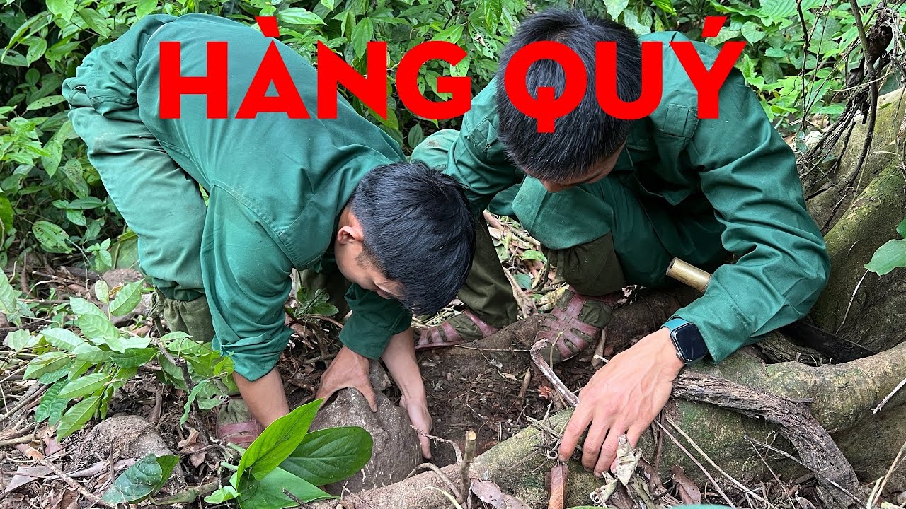 MANG VỀ LÀM KỶ VẬT-TỰ THỢ RỪNG