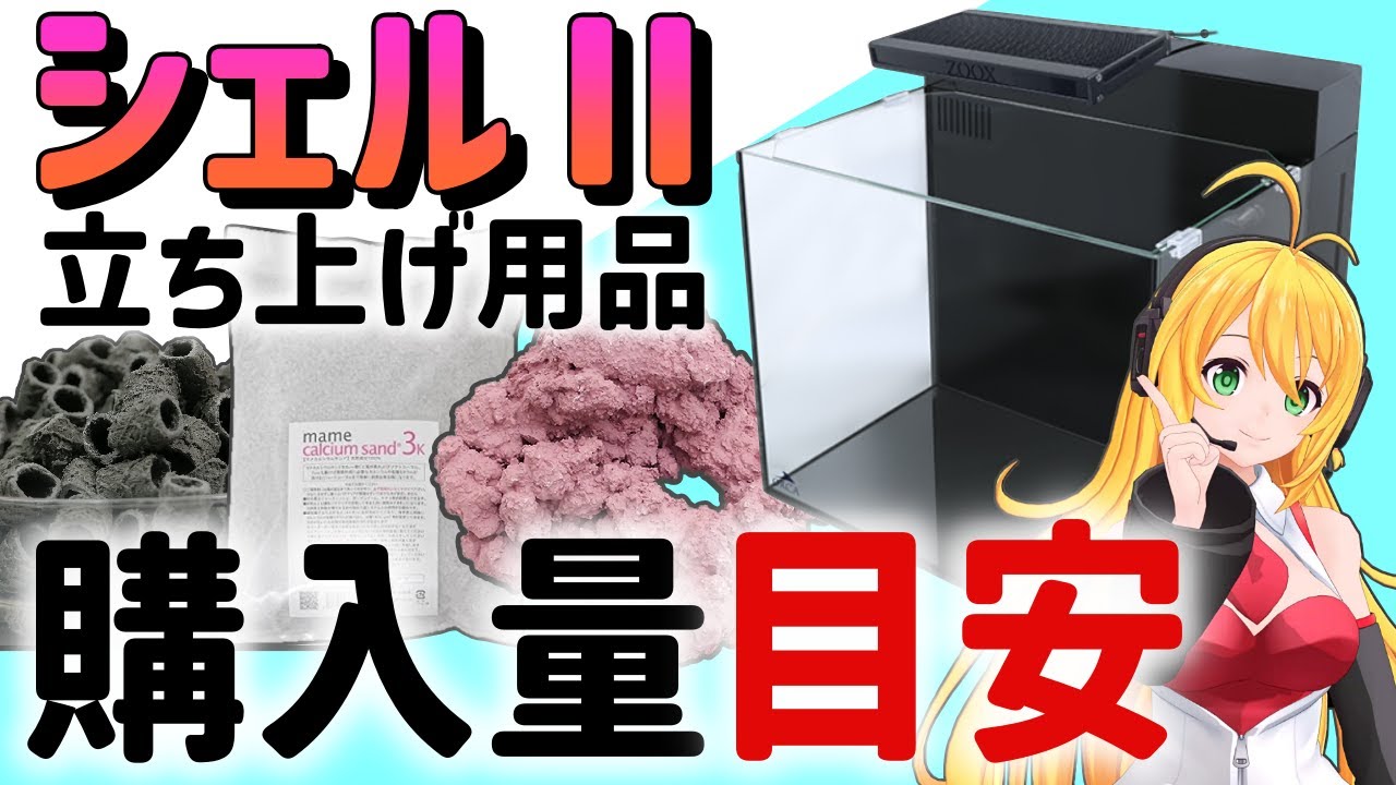 【シェルⅡ】ろ材 マメカルシウムサンド マメライブロックを水槽に入れるとこんな感じです！【アクアリウム】