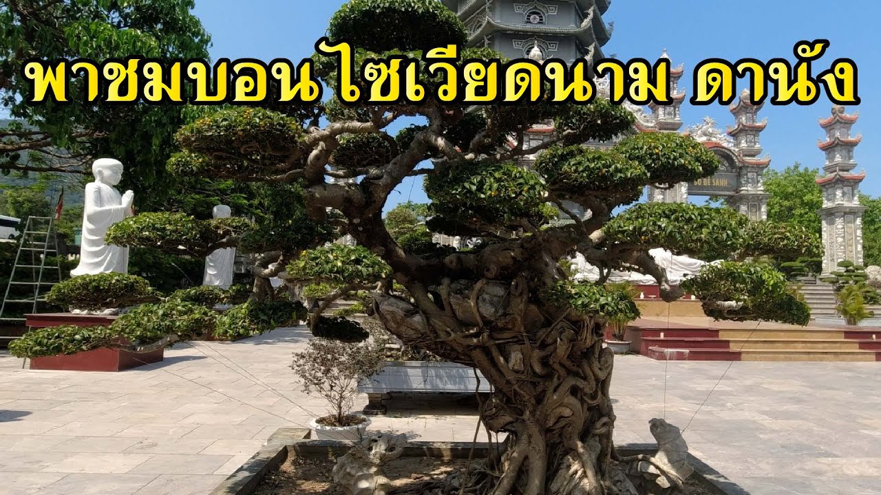 ทัวร์พาชมบอนไซ(เวียดนาม) วัดหลินอึ๋ง ดานัง [Tour Station] EP.50.1
